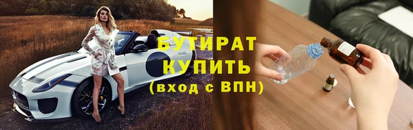 гашик Карпинск