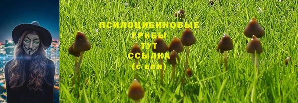 каннабис Кинешма