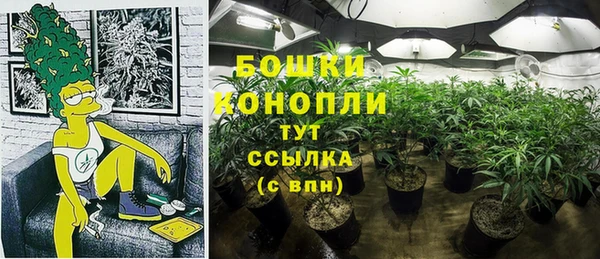 гашик Карпинск