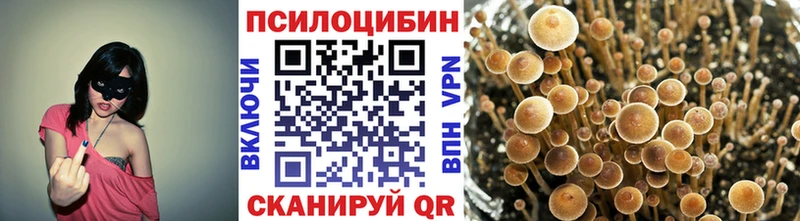 где найти наркотики Глазов ОМГ ОМГ tor Галлюциногенные грибы прущие грибы