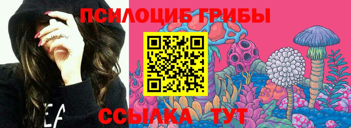 Глазов  Псилоцибиновые грибы Psilocybine cubensis  Вход с VPN 