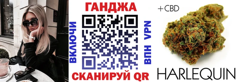 omg Глазов Бошки Шишки план